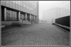 Nebbia