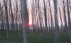 Tramonto