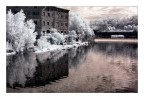 Riflessi in ir