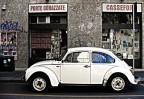 Maggiolone