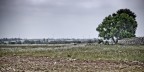 Lu salentu