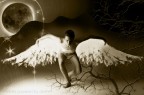 The white swan - Il cigno bianco dispiega le sue ali