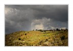 Campagna siciliana