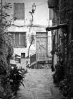 Caselle in Pittari3