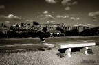 CircoMassimo