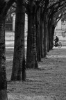 Traguardo