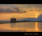 Risaie del Vercellese