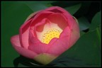 Fuji HS10
1/2000s
f/4.5
manuale
iso 100
