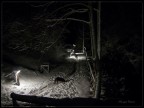 Fuji s100fs
f/2.8
iso 400
1/4s
lung. focale 7,1 mm
scattata a mano