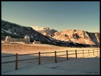 Fuji hs10
f/4.5
1/250s
iso 100
Lung. focale 4.2 mm