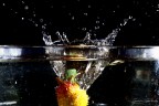 splash