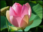 Fuji HS10
Manuale
1/400s
f/5,0
Iso 100
39,8 mm