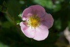 Prova macro :-)