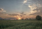 di Maggio