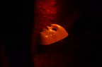 gi la maschera