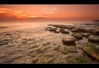 Rocks