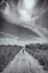 passeggiata solitaria