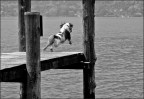 orta san giulio(no)...5/2011