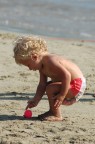 Ludo mare