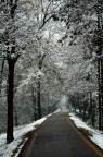 verso l'inverno... neve!