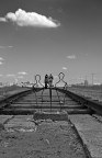 Auschwitz-Birkenau