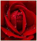 Profondo rosso