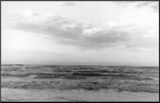 Mare