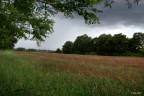 campagna romana