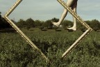 Orthogonal