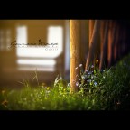 Un rayo de luz Un rayo de luz