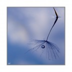 reflection
