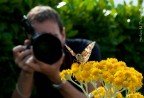 Soul of Macro