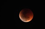 Moon Eclipse