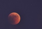 spero non sia l'ultima foto scattata col mio 70-300VR... :(