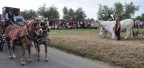 300 anniversario traslazione di San Zopito