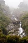 Fox Glacier