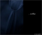 :: ... in blue