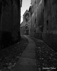 basilica dei fieschi