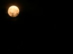 ISO 200 - f.5,6 - 1/30 - 200mm