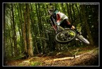MTB|DownInTheWoods