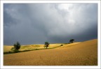 Prima del temporale
