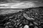 1/1250 sec - f2,8 - iso 100 - 12mm