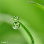 1/1000 sec, f/5.6, ISO 320, 150 mm
Commenti e critiche ben accetti