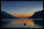cigno 
Torbole sul Garda
D70 + 12-24 Dx
28 novembre 2005