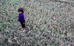 persa nella risaia, Sapa Mountains