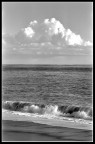Fomapan 100, scansione da negativa.
Nikon F100, 50mm
Scatto estemporaneo durante la passeggiata domenicale....