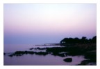 Velvia pinhole