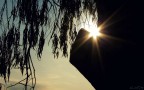 Raggio di sole.