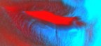 Lips