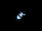 Light In The Dark